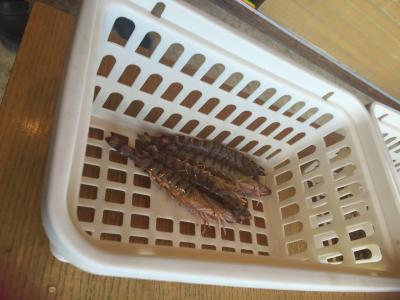 片道バニラエアでいく沖縄本島。2日目。宜野座車海老養殖場、道の駅 許田、古宇利島、ホテルインターコンチネンタル万座毛 ステイ