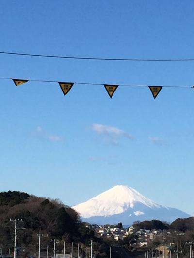 正月の富士山百景と餅つき軍団