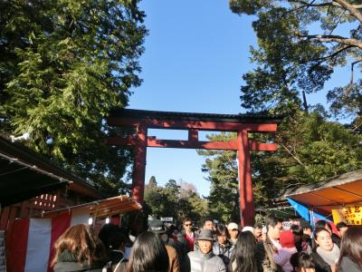 氷川神社　初詣　さいたま新都心　イルミネーション