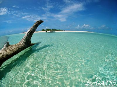 トラック諸島の無人島へ行こう～Paradise Is.編～