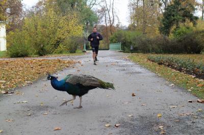 チェコの世界遺産をぐるっと車で巡る旅　その５　クロムニェジーシュ