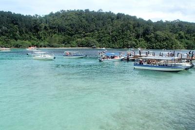 2016-2017 コタキナバルでニューイヤー 年内編 街には出ず島巡り まずはサピ島 あなどれない!日本で見れる6種類の内なかなかお会いできないあのお方が!!