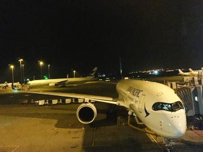 2016.12-CXとCIで行く正月のシンガポール③(CX659 A350-ビジネスクラスとIC香港)