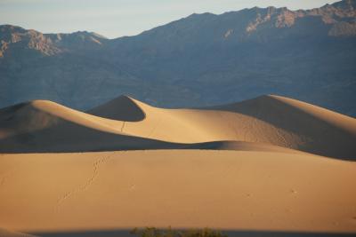 ラスベガス・デスバレー ⑤ 砂丘の朝  Mesquite Flat Sand Dunes