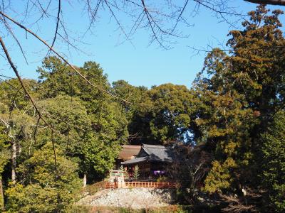 酉にゆかりのということで葛城の古社・高鴨神社へ