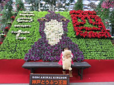 2016年末、神戸で子ども孝行の旅～アンパンマン＆どうぶつ王国～大人はちょっぴり神戸グルメも♪