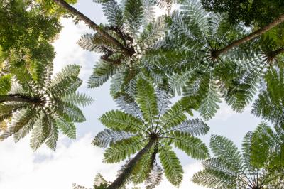 奄美・しま旅(2)@奄美大島1(北中部)