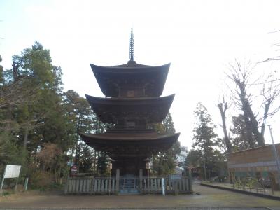 2016-17年　年またぎ愛知岐阜の旅(10)　日吉神社・南宮大社・真禅院など