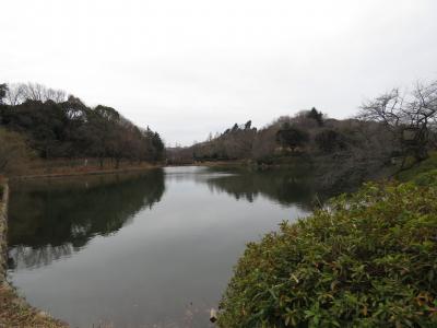 お散歩：冬の三ツ池公園