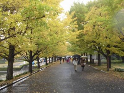 昭和記念公園の風景