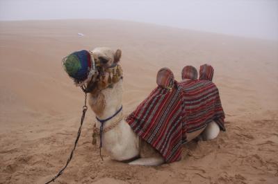 「Haruka in UAE」 vol.2　砂漠で初日の出を見よう