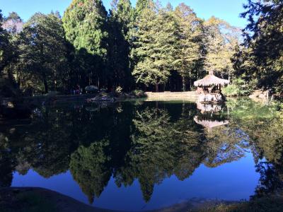 2017年最初の旅は3連休で台湾(2)嘉義から台湾の最高峰「阿里山」に移動し巨木群を堪能