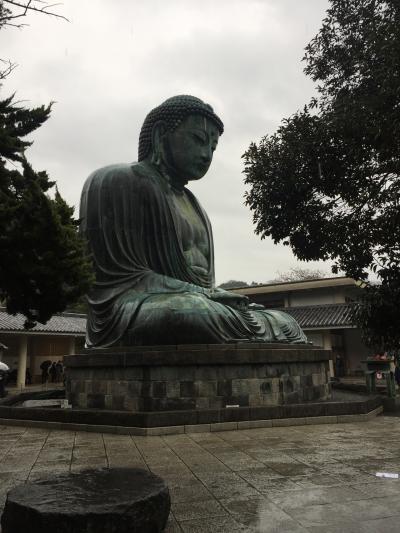 思い立って・・・雨の鎌倉