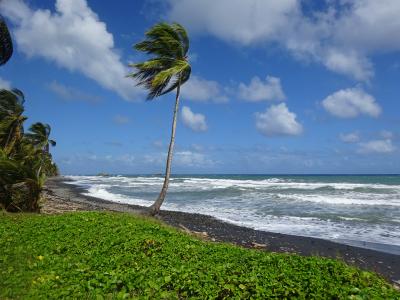中南米カリブ海の未訪問国をめぐる旅(6) ドミニカ国
