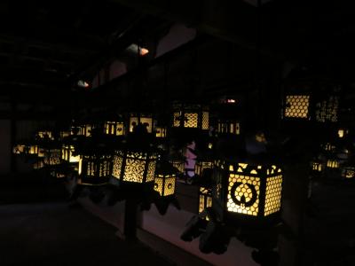 母と行くちょっと日にちをずらした初詣の春日大社～人の少ない特別拝観で釣燈籠を満喫♪