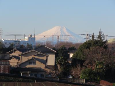 1月10日ふじみ野市から素晴らしい富士山が見られた