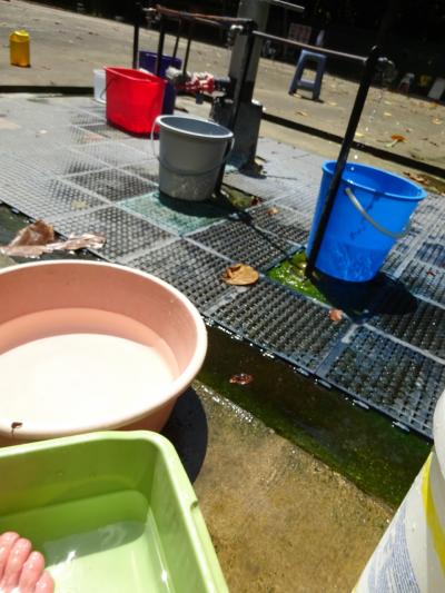 シンガポール セラヴィ 温泉 山頂 チャンギ空港シャワー