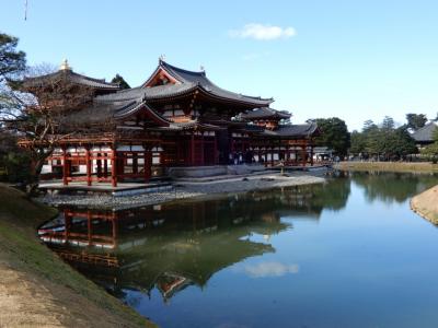 京都市南方作戦その２～平等院、宇治神社、宇治上神社