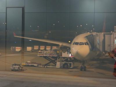 ロシア・南ドイツ 観劇の旅 ① トルコ航空Cクラス 関西→イスタンブール