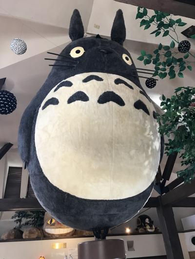 伊東・淘心庵 米屋☆1人旅