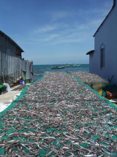 2016年末フーコック島 北の端 ガンヤウ村 ふらり散策