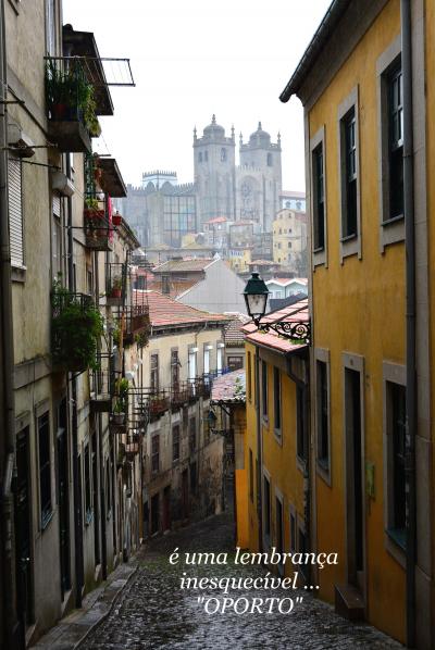 美と憂いのポルトガル Vol.7冬枯れに、過去の面影が映る街”ポルト”（後編）
