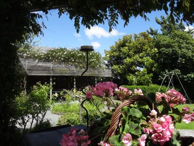 初夏の花々がお出迎え～２０１７年始初のニュージーランド旅③