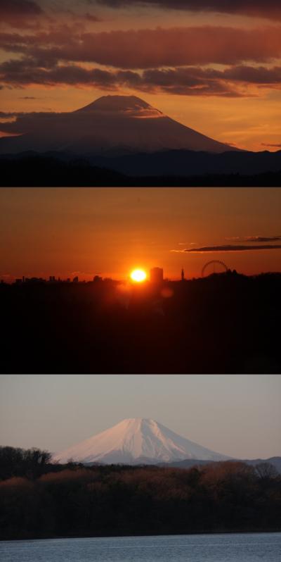 狭山湖の入日・日の出の富士山2017　Mt.Fuji at sunset and sunrise in Lake Sayama