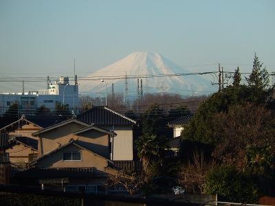 ふじみ野市から美しい富士山が見られた