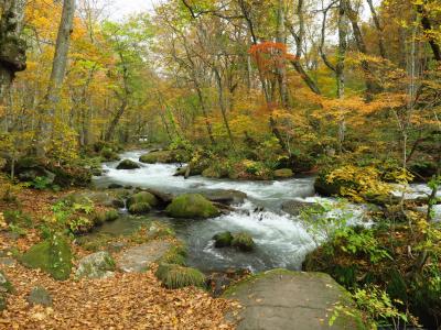 ひとあし早い紅葉を見に東北へ＜４＞　秋色の「奥入瀬渓流」と「十和田湖」