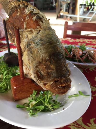 GO GO ホーチミン　エピソード1