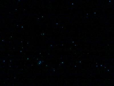 NZ2週間ドライブD11 : 晴天のワナカ トレッキング、雨中の260km移動、Fox Glacierの土ボタル