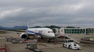 2017年１月石垣SFC取得の旅