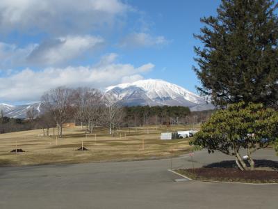 冬の東北でゆっくりと湯治