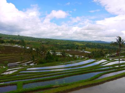 ☆2016年　年末年始インドネシア旅　～前半　バリ島編～