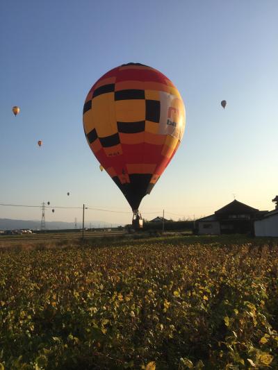 ★朝日の中飛び立つバルーン!!　佐賀国際バルーン大会