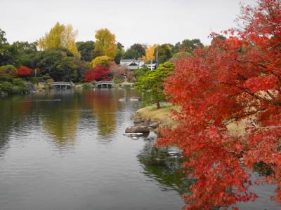 仔猫といっしょ計画（熊本２０１３秋　水前寺公園編）