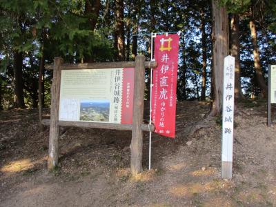 2017年1月　遠江・三河の旅　第１日　井伊谷