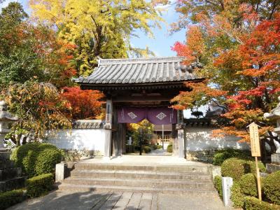 奥津和野の山里にある旧家の庭園を訪ねて   (　津和野からの帰りに山口市で途中下車　）  ③