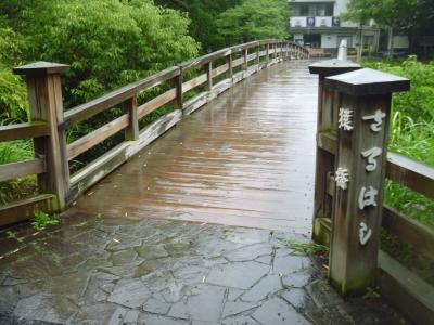 猿橋と猿橋公園