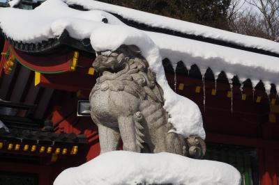 冬の日光詣＊二荒山神社中宮祠＊中禅寺湖