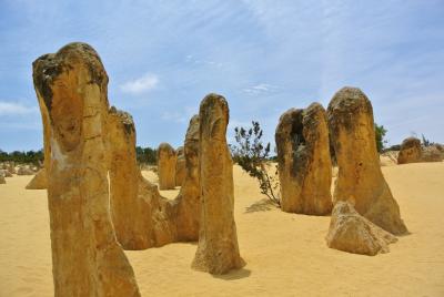 真夏の南半球 友を訪ねて三千里 黄色と白の世界パース前編４日目PM～５日目夜