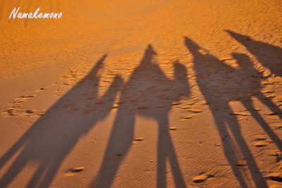 満天の星と赤い砂(メルズーガ)