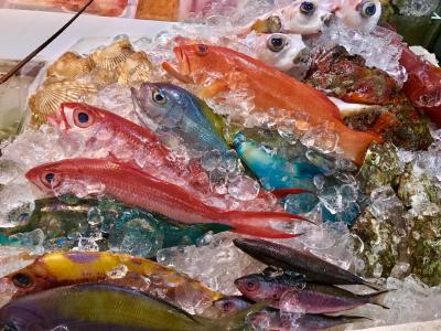 沖縄一人旅 6日目 那覇でやけ食い 国際通り屋台村の夜