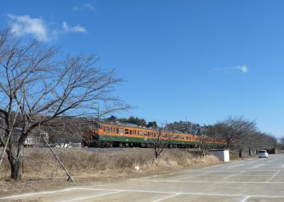 あしかがフラワーパークの前に、両毛線の新駅 （栃木県・足利市）