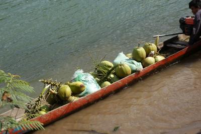 20170126 シーパンドン デット島 ちょっとだけサイクリングに