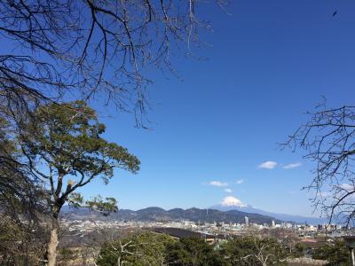 今日の富士山の姿と、冬の渡り鳥・「パンダガモのバード・ウオッチング」！