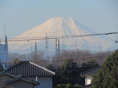 1月25日、ふじみ野市より美しい富士山が見られた