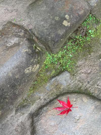 早朝の室生寺