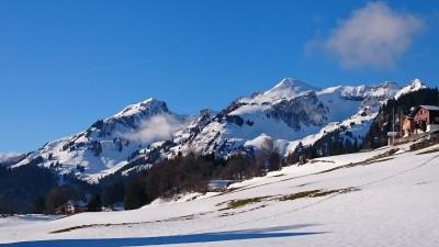 冬の東スイス・雪道をお散歩【スイス情報.com】